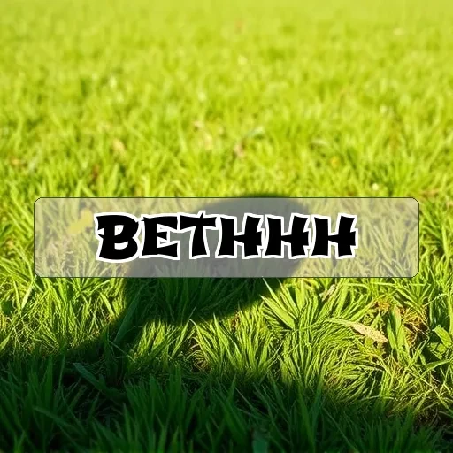 bethhh.com: Descubra o Que Há de Novo nos Jogos Online do Brasil